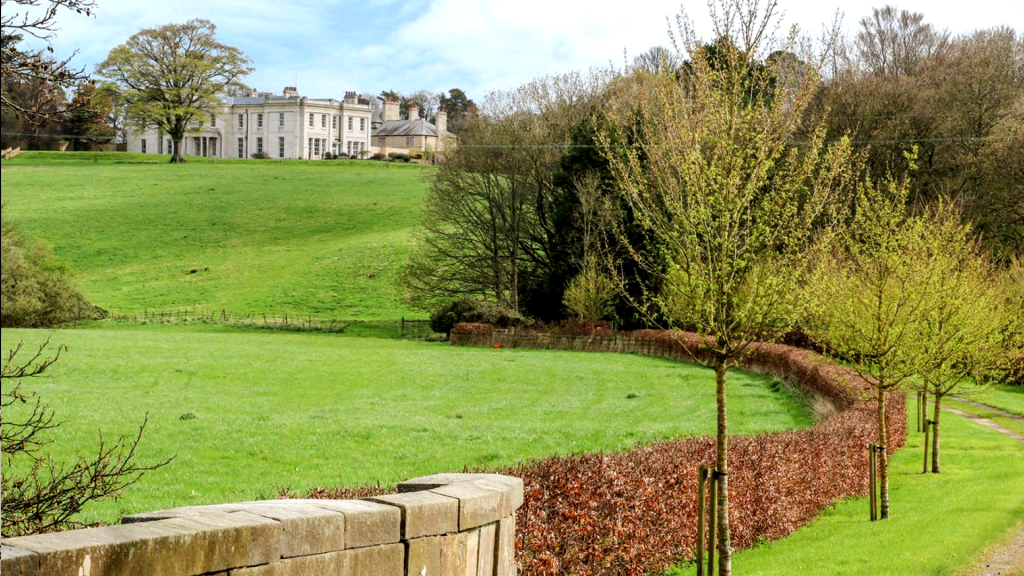 Services - Conservation & Listed